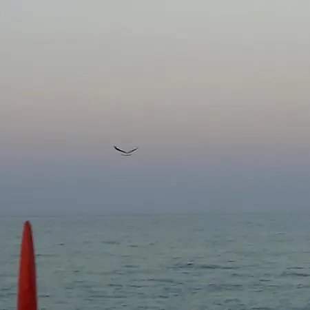 Voglia Di Mare... Holidays On The Διαμέρισμα Porto SantʼElpidio